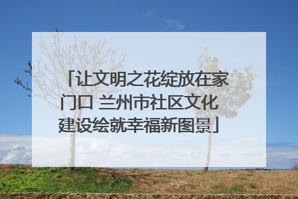 让文明之花绽放在家门口 兰州市社区文化建设绘就幸福新图景