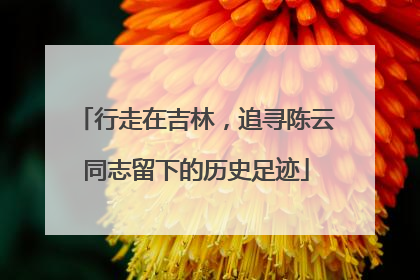 行走在吉林，追寻陈云同志留下的历史足迹