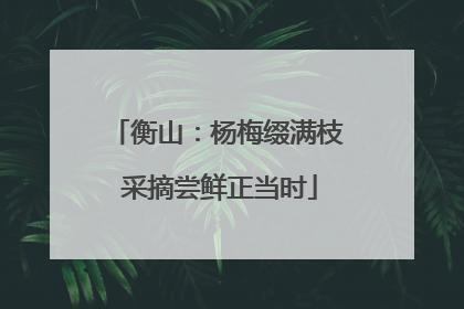 衡山：杨梅缀满枝 采摘尝鲜正当时
