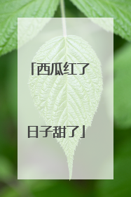 西瓜红了 日子甜了