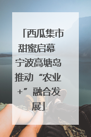 西瓜集市甜蜜启幕 宁波高塘岛推动“农业+”融合发展