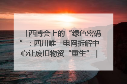 西博会上的“绿色密码”：四川唯一电网拆解中心让废旧物资“重生”｜西博寻“新”记