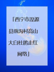西宁市湟源县前沟村高山大白杜鹃走红网络