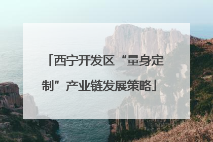 西宁开发区“量身定制”产业链发展策略