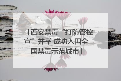 西安禁毒“打防管控宣”并举 成功入围全国禁毒示范城市