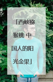 西峡猕猴桃 中国人的阳光金果