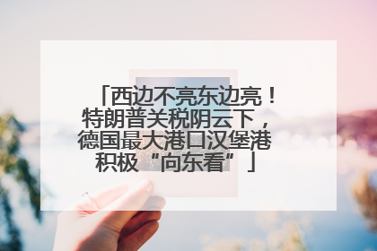 西边不亮东边亮！特朗普关税阴云下，德国最大港口汉堡港积极“向东看”