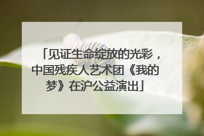 见证生命绽放的光彩，中国残疾人艺术团《我的梦》在沪公益演出