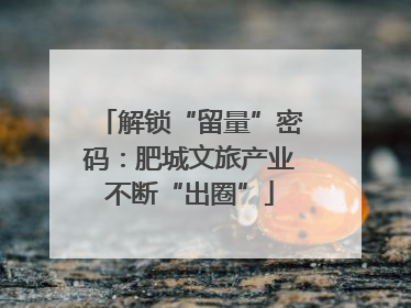 解锁“留量”密码：肥城文旅产业不断“出圈”