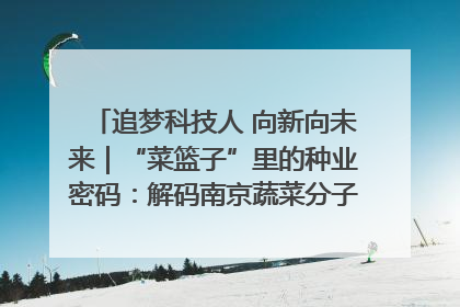 追梦科技人 向新向未来｜“菜篮子”里的种业密码：解码南京蔬菜分子育种的创新之路