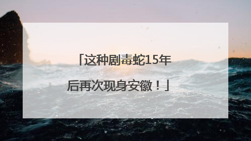 这种剧毒蛇15年后再次现身安徽！