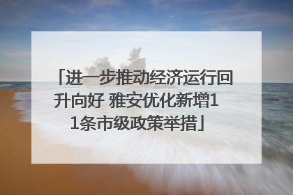 进一步推动经济运行回升向好 雅安优化新增11条市级政策举措