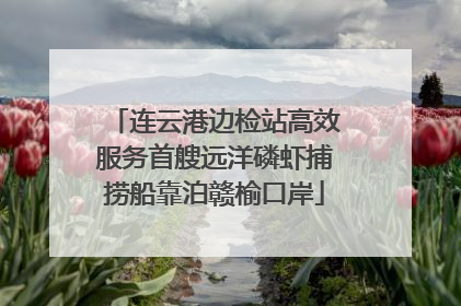 连云港边检站高效服务首艘远洋磷虾捕捞船靠泊赣榆口岸