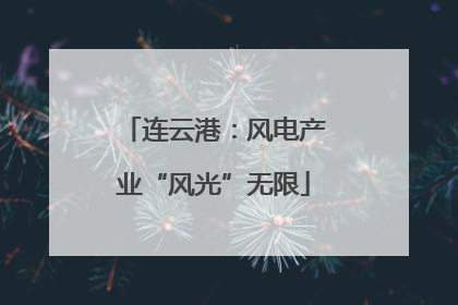 连云港：风电产业“风光”无限