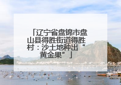 辽宁省盘锦市盘山县得胜街道得胜村：沙土地种出“黄金果”