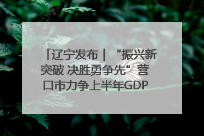 辽宁发布｜“振兴新突破 决胜勇争先”营口市力争上半年GDP增长6%左右