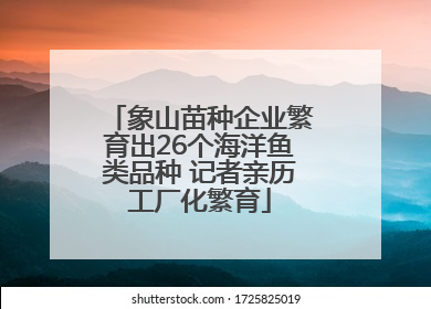 象山苗种企业繁育出26个海洋鱼类品种 记者亲历工厂化繁育