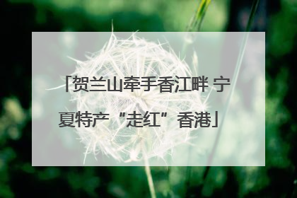贺兰山牵手香江畔 宁夏特产“走红”香港