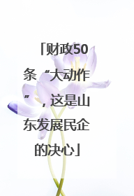 财政50条“大动作”，这是山东发展民企的决心