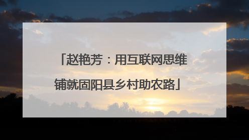 赵艳芳：用互联网思维铺就固阳县乡村助农路