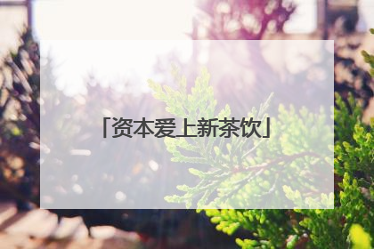 资本爱上新茶饮