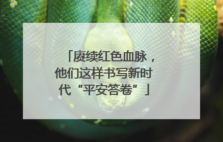 赓续红色血脉，他们这样书写新时代“平安答卷”