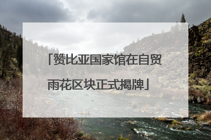 赞比亚国家馆在自贸雨花区块正式揭牌