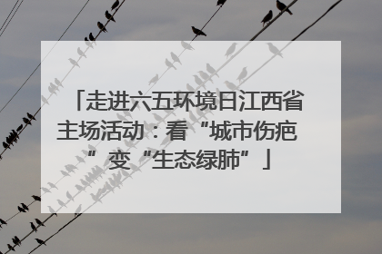 走进六五环境日江西省主场活动：看“城市伤疤”变“生态绿肺”