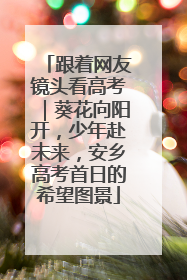 跟着网友镜头看高考｜葵花向阳开，少年赴未来，安乡高考首日的希望图景