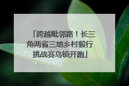 跨越毗邻路！长三角两省三地乡村毅行挑战赛乌镇开跑