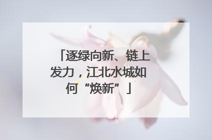 逐绿向新、链上发力，江北水城如何“焕新”