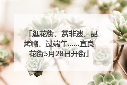 逛花街、赏非遗、品烤鸭、过端午……宜良花街5月28日开街