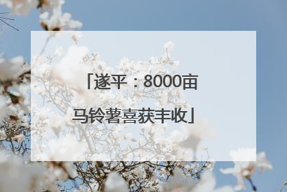 遂平：8000亩马铃薯喜获丰收