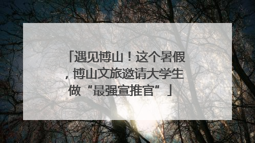 遇见博山！这个暑假，博山文旅邀请大学生做“最强宣推官”