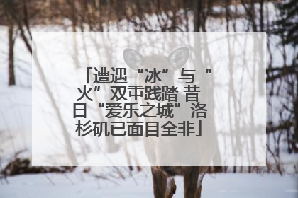 遭遇“冰”与“火”双重践踏 昔日“爱乐之城”洛杉矶已面目全非