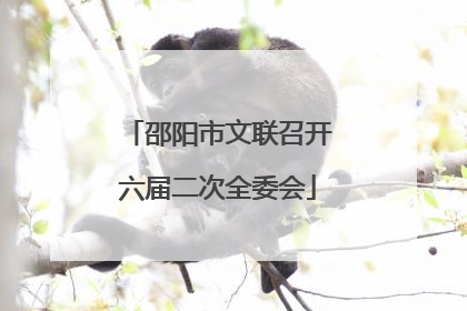 邵阳市文联召开六届二次全委会