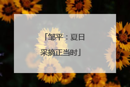 邹平：夏日采摘正当时