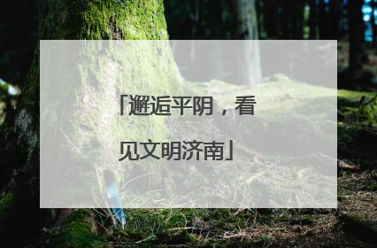 邂逅平阴，看见文明济南