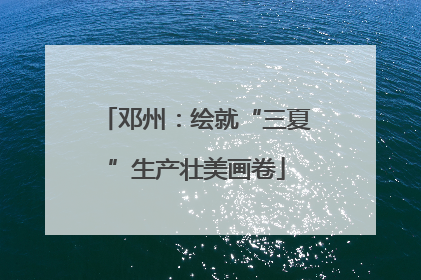 邓州：绘就“三夏”生产壮美画卷