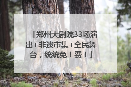 郑州大剧院33场演出+非遗市集+全民舞台，统统免！费！