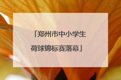 郑州市中小学生荷球锦标赛落幕