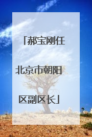 郝宝刚任北京市朝阳区副区长