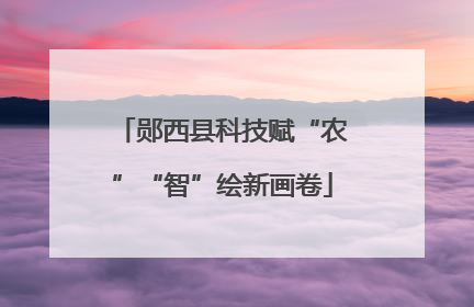 郧西县科技赋“农”“智”绘新画卷