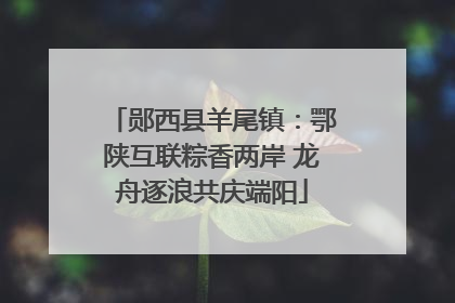 郧西县羊尾镇：鄂陕互联粽香两岸 龙舟逐浪共庆端阳