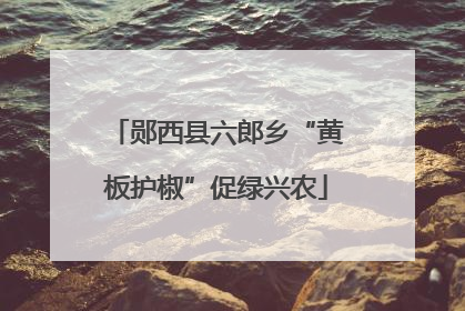 郧西县六郎乡“黄板护椒”促绿兴农