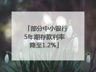 部分中小银行5年期存款利率降至1.2%