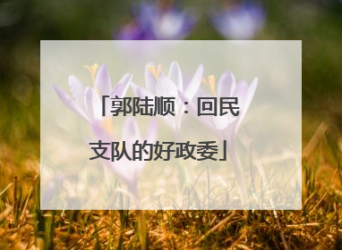 郭陆顺：回民支队的好政委