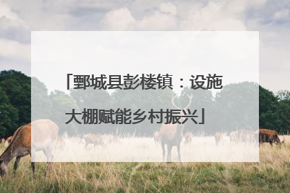 鄄城县彭楼镇：设施大棚赋能乡村振兴