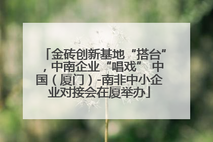 金砖创新基地“搭台”，中南企业“唱戏” 中国（厦门）-南非中小企业对接会在厦举办