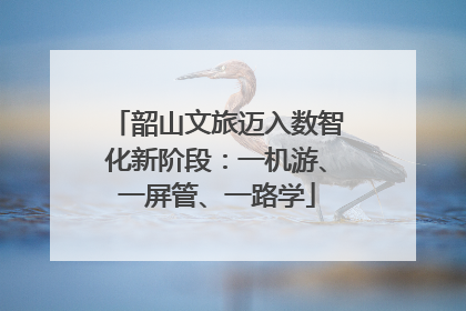 韶山文旅迈入数智化新阶段：一机游、一屏管、一路学